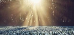 Сухо і багато сонця: погода в останні дні лютого потішить весняним теплом