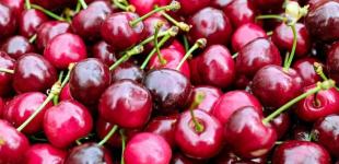 Чому ціни на черешню в Україні захмарні: фермери та науковці пояснили, що впливає на вартість