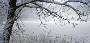 В Україні кардинально зміниться погода: синоптик здивував прогнозом 