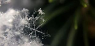 Погода на Новий рік: синоптикиня розповіла чи очікувати українцям снігу та морозу