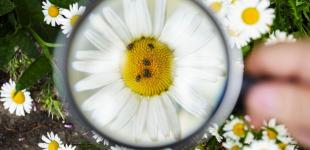 Жаритиме +40 градусів: якою буде погода у понеділок, 15 липня