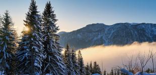 До 2040 року зими майже зникнуть: що чекає на українців у найближчі 15 років