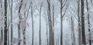 Синоптик розповів, коли до України знову повернуться морози