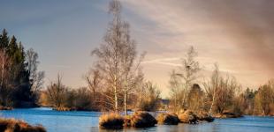 Аномальна погода: синоптики шокували прогнозом на лютий