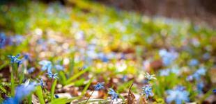 Гороскоп на 23 березня для всіх знаків зодіаку: день, коли сили зла вийдуть із пітьми