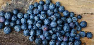 В Україні різко здорожчала чорниця: скільки коштують ягоди та яка причина