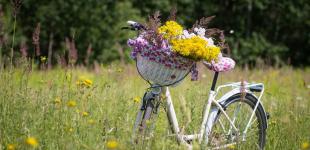 На заході трохи дощитиме, а в центрі і на півдні – Африка: прогноз погоди в Україні на понеділок, 8 липня