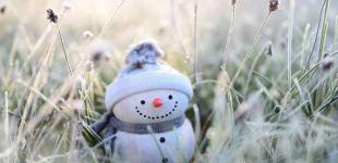 Після відлиги. Новий тиждень розпочнеться зі зниження температури повітря та снігу — прогноз синоптиків