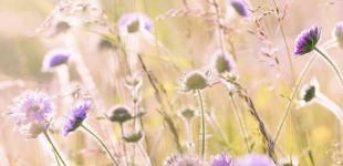 Синоптик назвала регіони України, де похолодає у вихідні