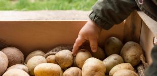 Запасайте олію та картоплю: українців попередили про різкий стрибок цін