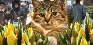 Синоптики зробили прогноз на весну: погода вражає