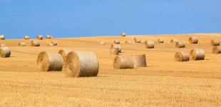 Де чекати на дощі та коли повернеться спека: прогноз погоди на вихідні