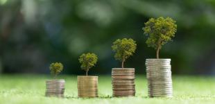 Фінансовий гороскоп на серпень 2024 року