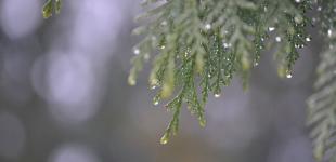 Насувається негода: в яких областях литиме дощ, а де йтиме сніг