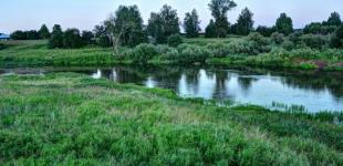 Коли спаде спека в Україні: прогноз синоптика