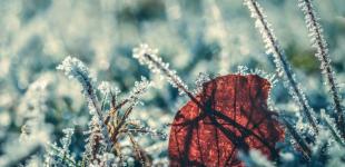 Гороскоп на 21 листопада для всіх знаків зодіаку: день, коли не можна сумніватися у своїх діях