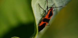 Гороскоп на 17 травня для всіх знаків зодіаку: день, коли експромти та імпровізації не пройдуть