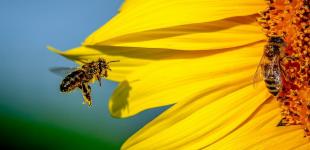 Гороскоп на 28 липня для всіх знаків зодіаку: день, коли будь-який вчинок потрібно ретельно обмірковувати