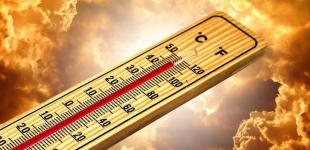 Спека в Україні: у червні поверхня ґрунту нагрівалася до +69 °С – 