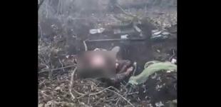 Розстріл полоненого воїна ЗСУ: генеральний прокурор повідомив подробиці
