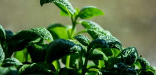 На Україну чекає похолодання: Наталка Діденко повідомила, де саме знизиться температура 