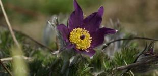 До України йде відчутне потепління: прогноз погоди на понеділок, 3 березня