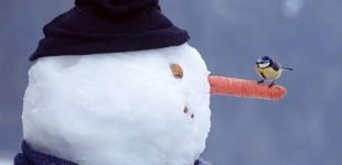 Прогноз погоди на вихідні 21–22 січня: цього року без хрещенських морозів