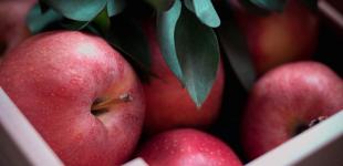 В Україні почав дешевшати популярний фрукт: яка причина