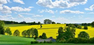 Коли до України прийде похолодання: прогноз синоптика на вересень