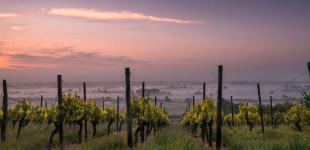 У французькому винограднику виявили 200-метровий метеоритний кратер