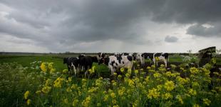 Гороскоп на 14-15 травня для всіх знаків зодіаку: день відмови від своїх інтересів та принципів