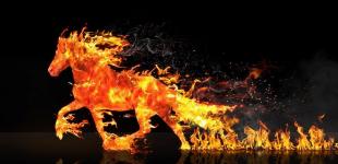 Тварина-покровитель 2026: дізнайтеся, хто символізує прийдешній рік і на що чекати кожному знаку зодіаку