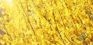 Гороскоп на 24 березня для всіх знаків зодіаку: день, коли необхідно йти до грандіозної мети