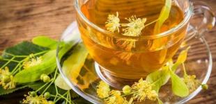 Вже час збирати липовий цвіт: кому потрібно пити липовий чай, користь та шкода напою
