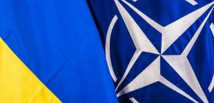 У НАТО зробили заяву про план Залужного на війну: який сюрприз чекає на Путіна