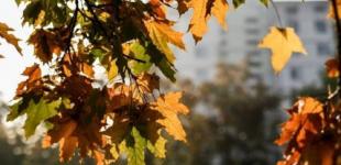 В Україну йде атмосферний фронт, який принесе дощі й похолодання: синоптикиня дала прогноз