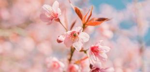 Гороскоп на 9 квітня для всіх знаків зодіаку: день, коли потрібно переходити до дій