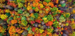 Що зірки нам пророкують: гороскоп на 26 серпня - 1 вересня 2024 року