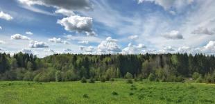 Дощі та грози: де в Україні 25 червня погіршиться погода