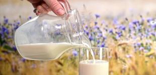 В Україні різко зросли ціни на молоко: що вплинуло на здорожчання