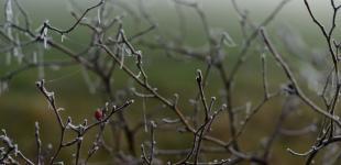 Якою буде погода в Україні 20 лютого: синоптики зробили прогноз