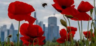 Гороскоп на 8 травня для всіх знаків зодіаку: день, головним принципом якого є доброта