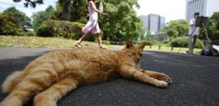 Коли в Україну прийде похолодання – точний прогноз синоптиків