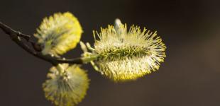 Гороскоп на 10 березня для всіх знаків зодіаку: день, коли можуть відбуватися неймовірні події