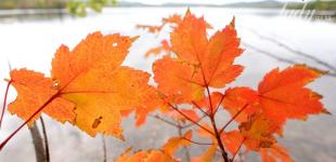 Що зірки нам пророкують: гороскоп на 29 вересня — 5 жовтня 2025 року