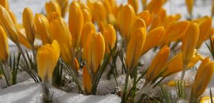 Сніг, дощі та потепління до +17: прогноз погоди на вихідні