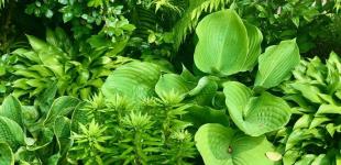 Гороскоп на 13 травня для всіх знаків зодіаку: день, коли потрібно звертати увагу на сни