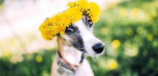 Гороскоп на 17 червня для всіх знаків зодіаку: день, який зроблять людей надмірно емоційними