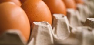 Споживачі вже відчули наслідки. Україна збільшила експорт стратегічного для США продукту