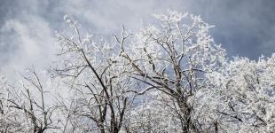 Україну незабаром засипле снігом: названо дату перших опадів